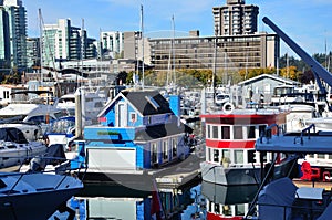 Colours among the boats