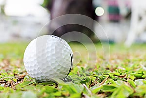 Colseup of the golf ball on grass