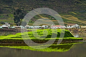 Colta lagoon in Chimborazo, Ecuador