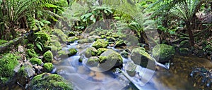 Columba Creek Panorama