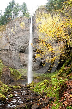 Columbia Gorge Water fall