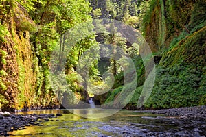 Columbia Gorge Waterfall in Summer Oregon USA