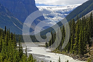 Columbia Icefield photo