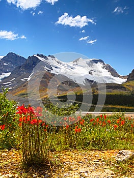 Columbia Icefield Mt. Athabasca Glacier photo