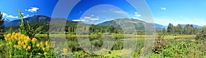 Landscape Panorama of summer flowers along Columbia River Floodplain from Centennial Park in Revelstoke, British Columbia, Canada