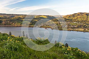 Columbia river gorge National scenic area overlook