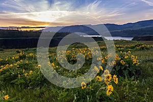 Columbia river gorge National scenic area overlook