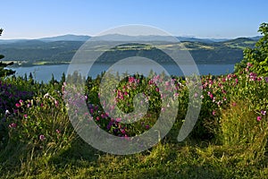 Columbia River Gorge Oregon photo