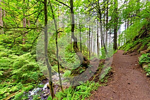 Columbia River Gorge Trail