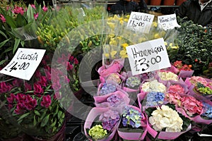 Columbia road flower market London , Uk