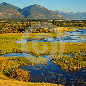 The Columbia Wetlands in Fall or Autumn