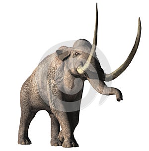 Columbian Mammoth