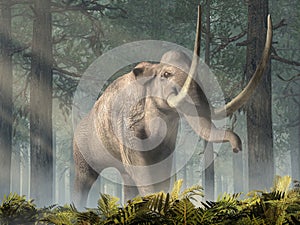 Columbian Mammoth In a Forest