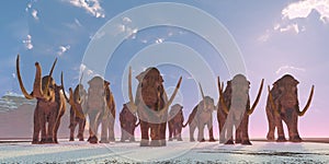 Columbian Mammoth Herd photo