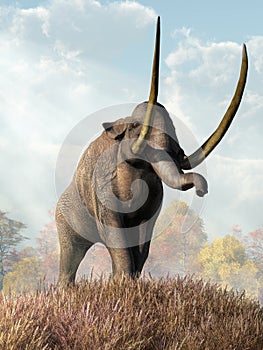 Columbian Mammoth On a Hill