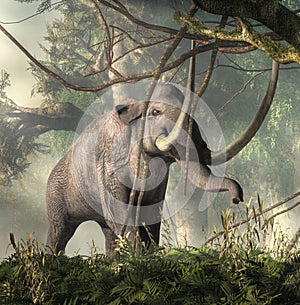 Columbian Mammoth In a Jungle