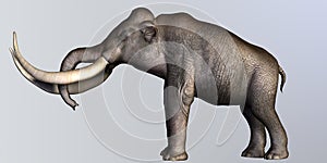 Columbian Mammoth Side Profile