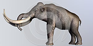 Columbian Mammoth Side Profile photo