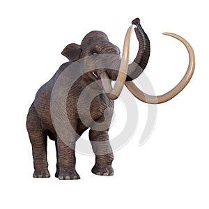 Columbian Mammoth Trumpeting