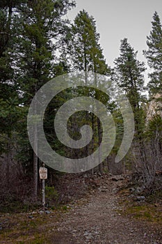 Columbine Hondo Wilderness trail in Taos, New Mexico