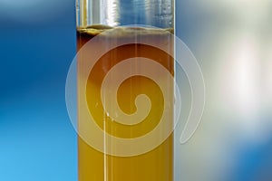 Column chromatography chemistry in lab.