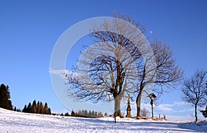 Column Of The Crucification photo