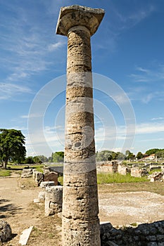 Column detail in Paestum
