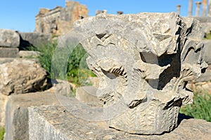 Column detail in Roman ruins, ancient Roman city of Volubilis. Morocco