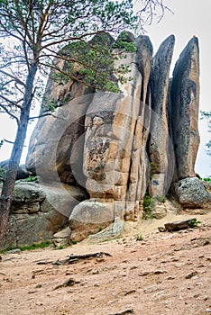 Column Feathers. Russian reserve Stolby Nature Sanctuary. Near Krasnoyarsk