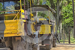 A column of military trucks rides along the road in the jungle