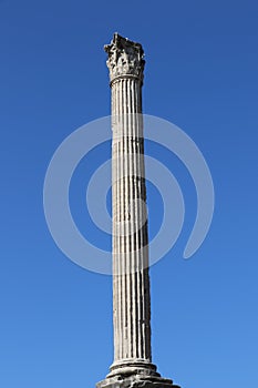 The column of Phocas