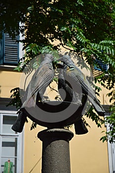 A column, probably a fountain, holds a cup with the sculptures of four pigeons, in Graz.