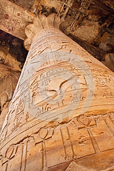 Column in the Temple at Edfu