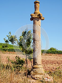 Columna justicia - Azofra photo