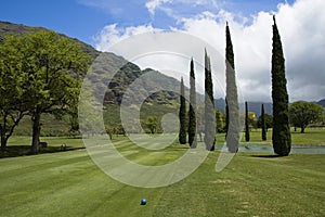 Columnar Evergreens on Makaha Valley Golf Course, Oahu photo