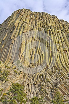 Columnar jointing on a volcanic remant