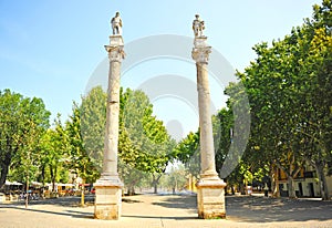 Columnas de Cesar y Hercules en la Alameda de HÃ©rcules en el centro de Sevilla, EspaÃ±a