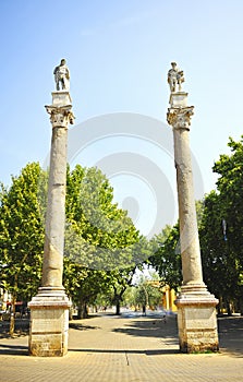 Columnas de Cesar y Hercules en la Alameda de HÃ©rcules en el centro de Sevilla, EspaÃ±a