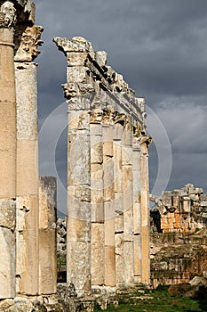 Columned street of Apamea Syria