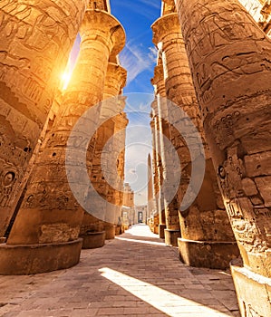 Columns with ancient carvings in the Great Hypostyle Hall of Luxor, Karnak Temple, Egypt