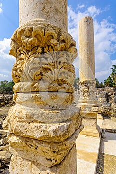 Columns in the ancient city of Bet Shean