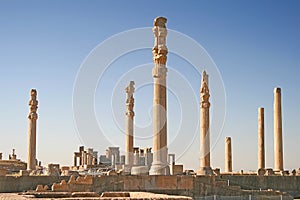 Columns of ancient city of Persepolis, Iran