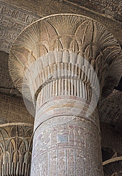 Columns in an ancient egyptian temple