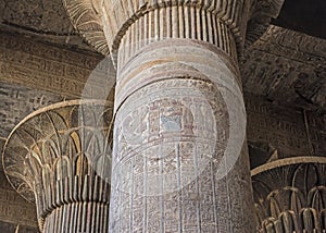 Columns in an ancient egyptian temple