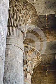 Columns in an ancient egyptian temple