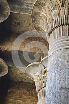 Columns in an ancient egyptian temple