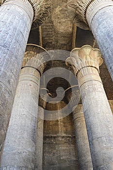 Columns in an ancient egyptian temple