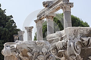 Columns in the ancient greek and later roman city of Ephesus Turkey