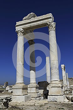 Columns of the ancient Laodicea