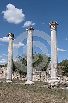 Columns of ancient Salamis, Sunny morning. Cyprus